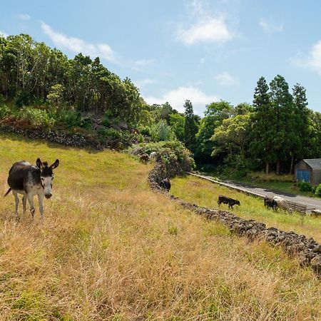 Calheta de Nesquim Casa Da Figueirinhaヴィラ エクステリア 写真