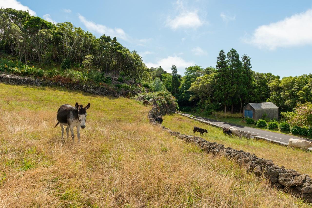 Calheta de Nesquim Casa Da Figueirinhaヴィラ エクステリア 写真